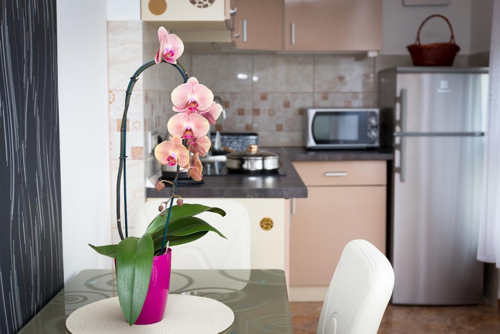 Best Apartments Segedin Dış mekan fotoğraf